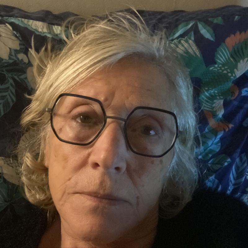 martine 73 ans Châtillon en Vendelais