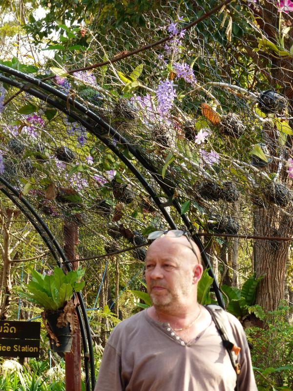 ALAIN 61 ans Plouhinec