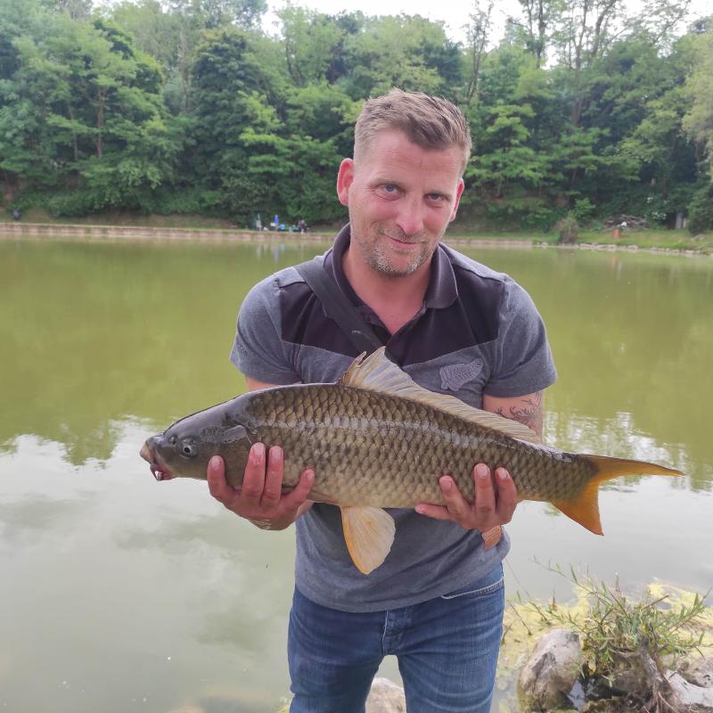Guillaume 41 ans Ostwald
