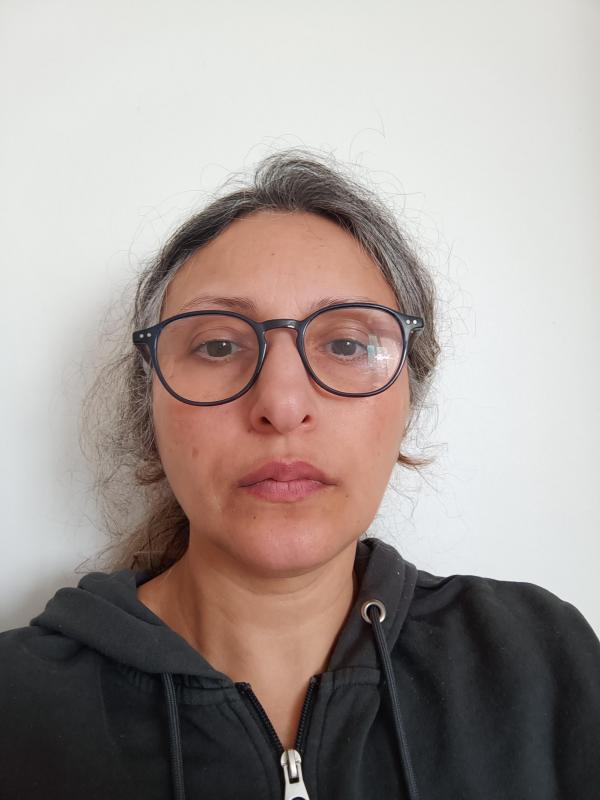 Damouretdamitié 53 ans Rennes