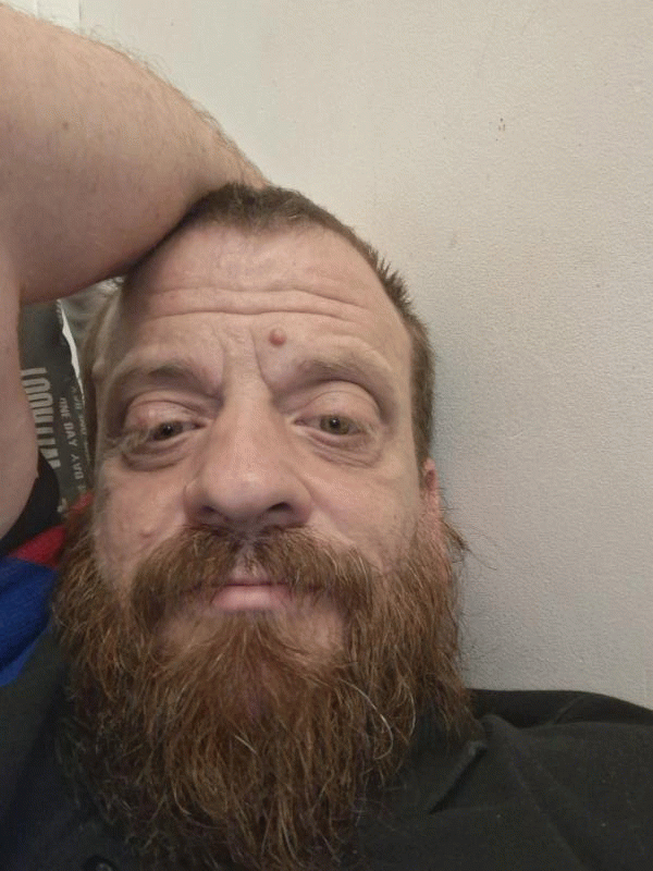 MRBear 42 ans Vannes