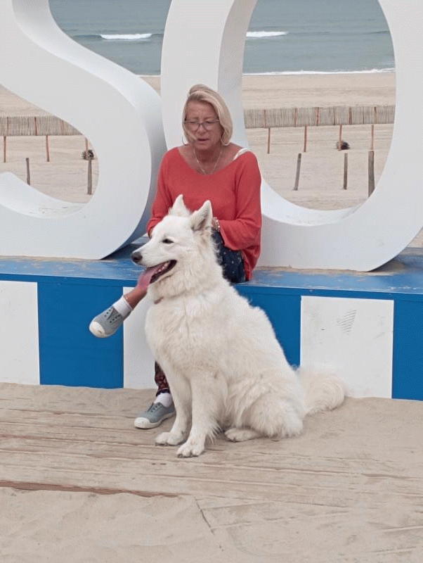 Michèle  71 ans Les Ormes