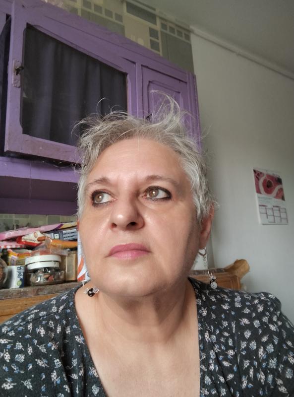 Sylvie  61 ans Pannes