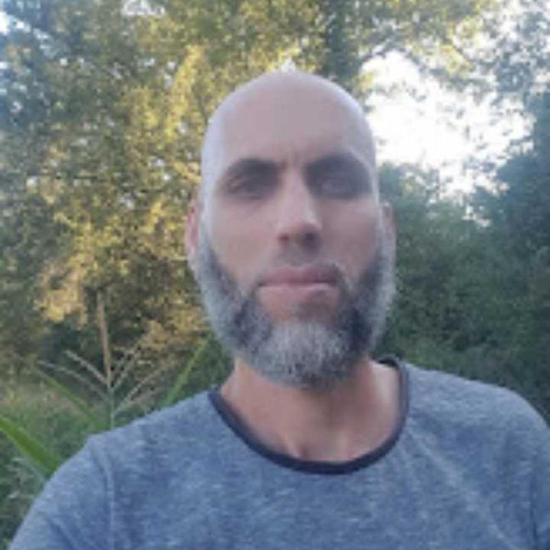 David 48 ans Toulouse