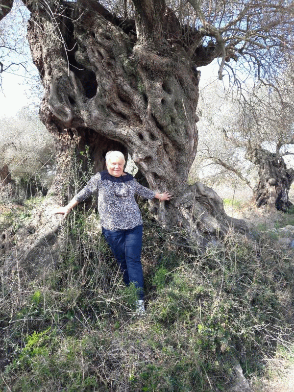 doudoune 72 ans Firmi