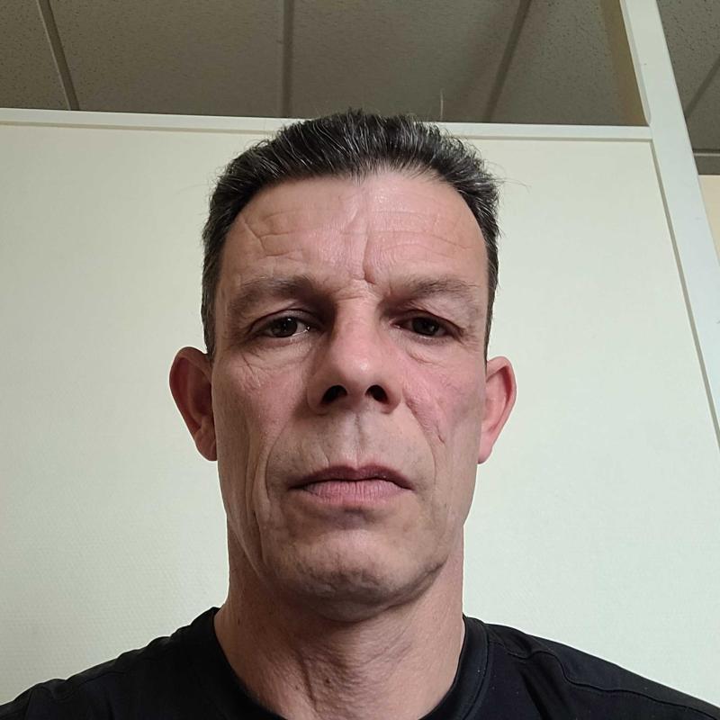 David 48 ans Fougerolles du Plessis