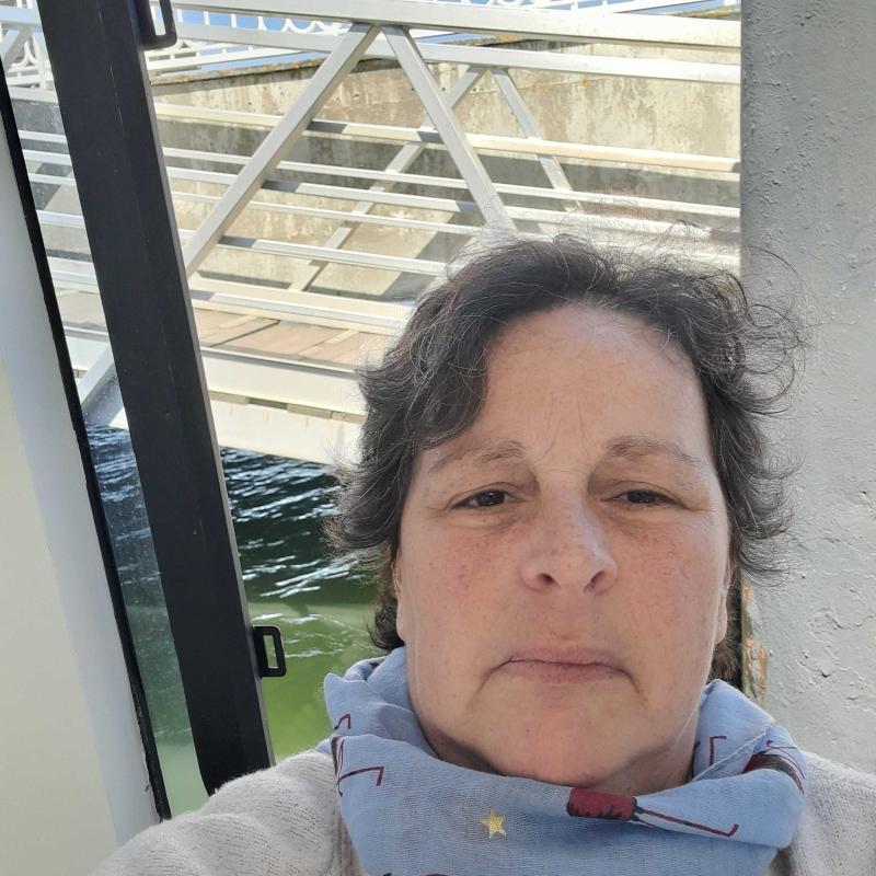 Sandrine  56 ans Montereau faut Yonne