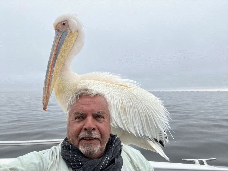 Pilote 71 ans Gap