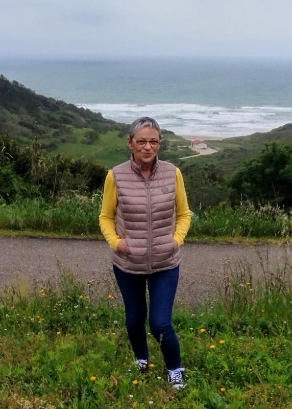 Nicole  68 ans Chamouillac