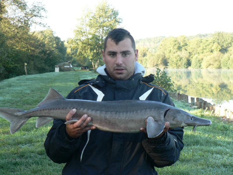 nicolas lissonnet 35 ans Saint Cyr sur Loire