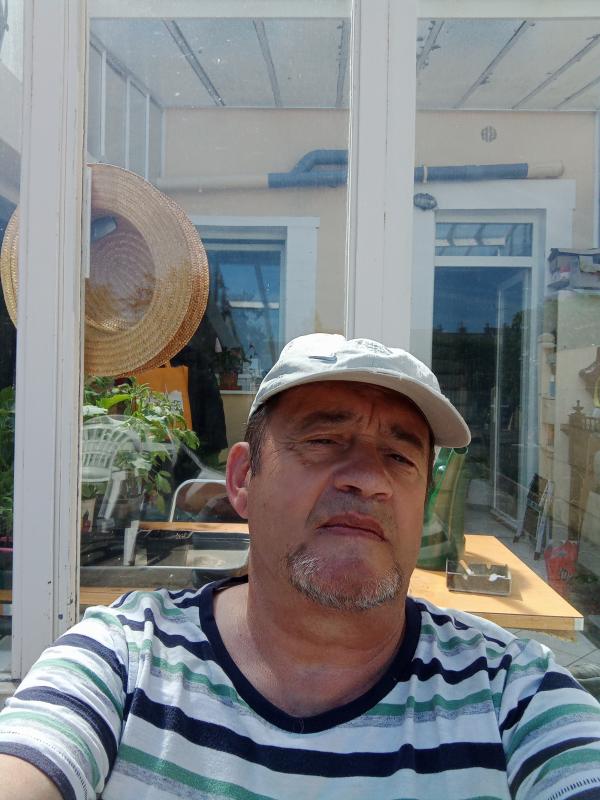 Bonobos  64 ans Le Mans