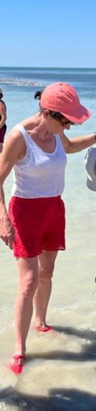 agathe 64 ans Abbeville