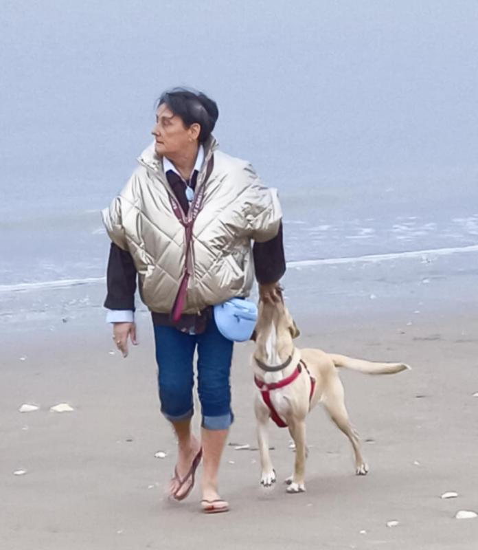 Monique  60 ans Limoges