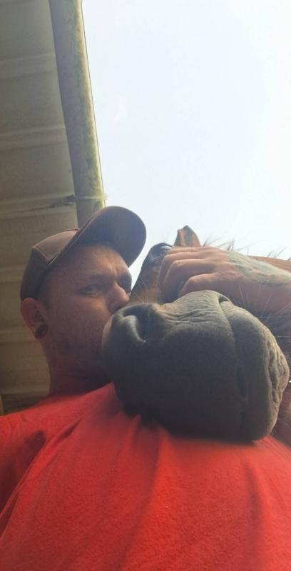 gavroche 40 ans Alençon