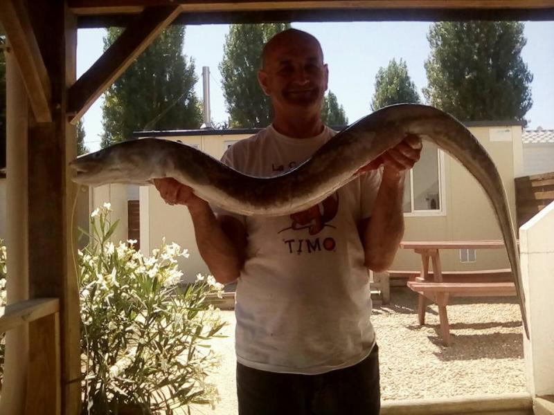 loïc 67 ans Pouancé