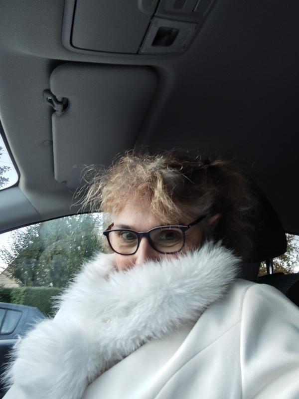 Karine  53 ans Guipavas