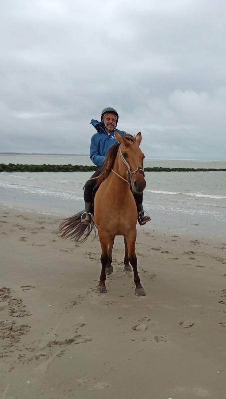 martial 44 ans La Ferté Saint Aubin