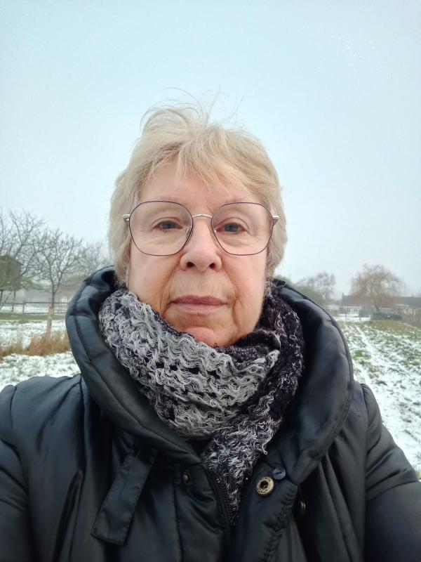 Suzanne 64 ans Brette les Pins