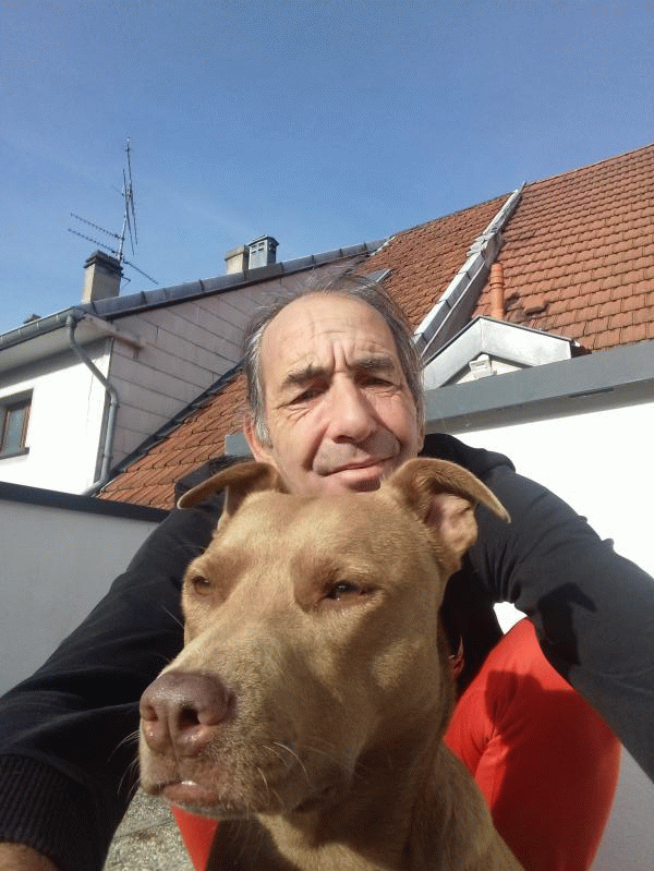 Port Olive 2026 ans Sarreguemines