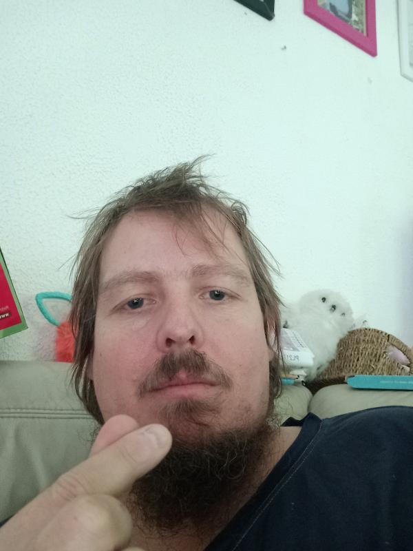 fab f 2026 ans Châtenois les Forges