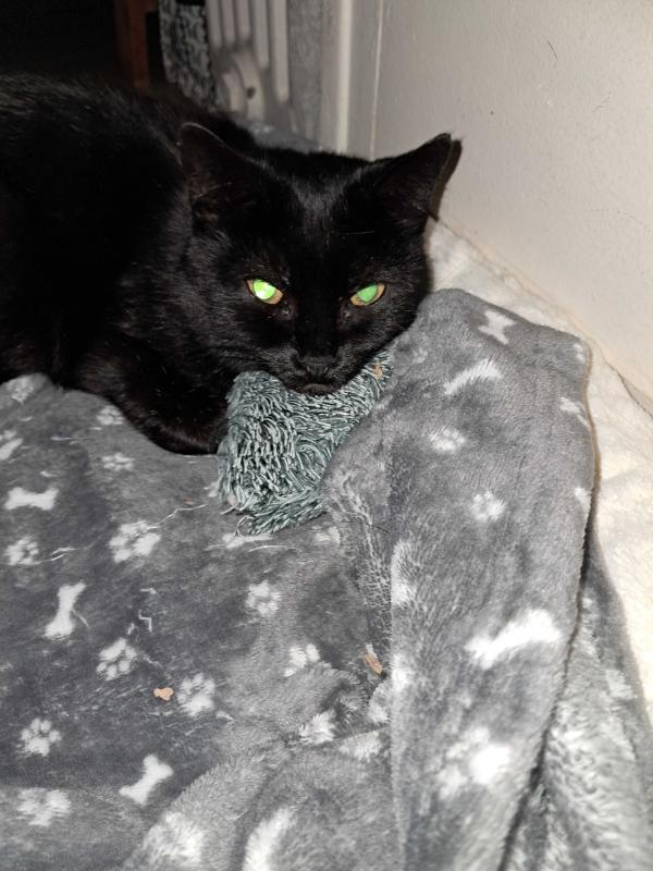 Florence 54 ans Pierrefitte sur Seine