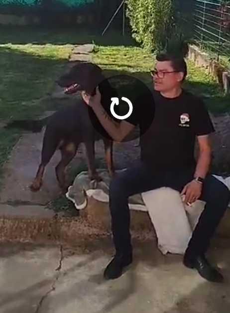 Will 55 ans Thaon les Vosges