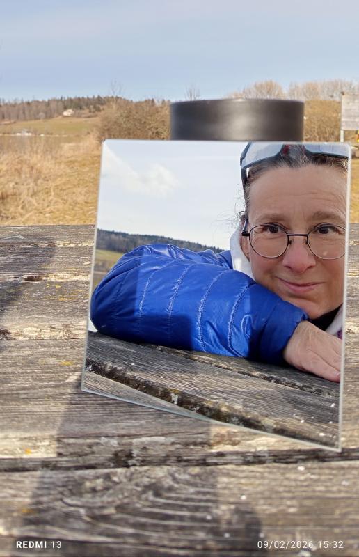 Dominique  54 ans Levier