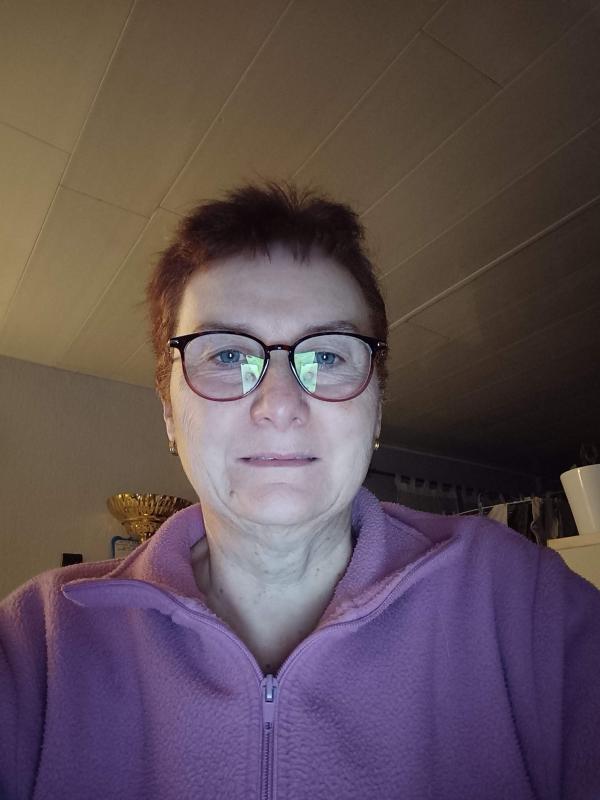 Sylvie  61 ans Halluin