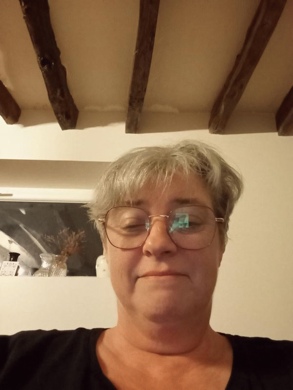 Caroline  53 ans Locminé