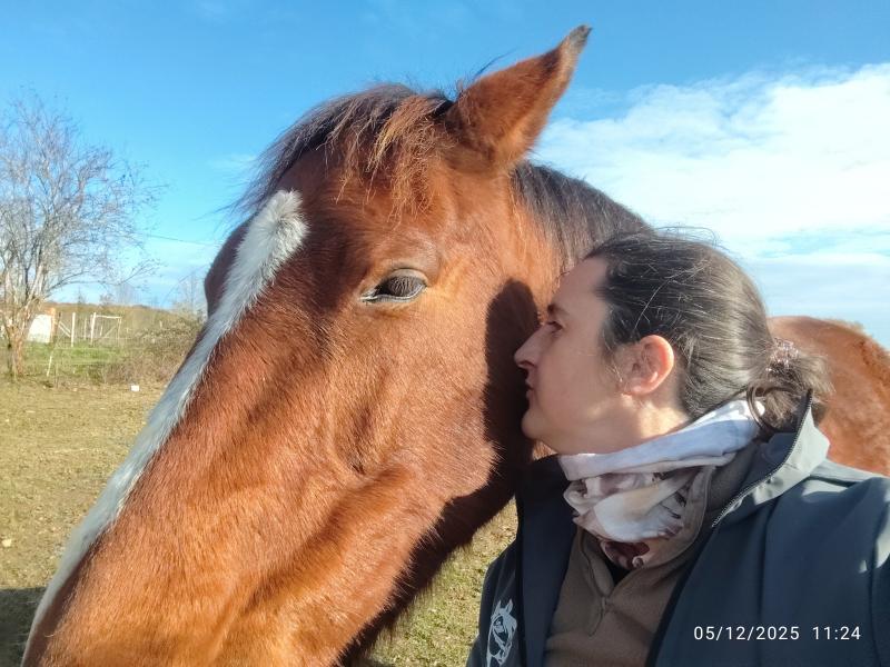 Corinne 41 ans Bonrepos sur Aussonnelle