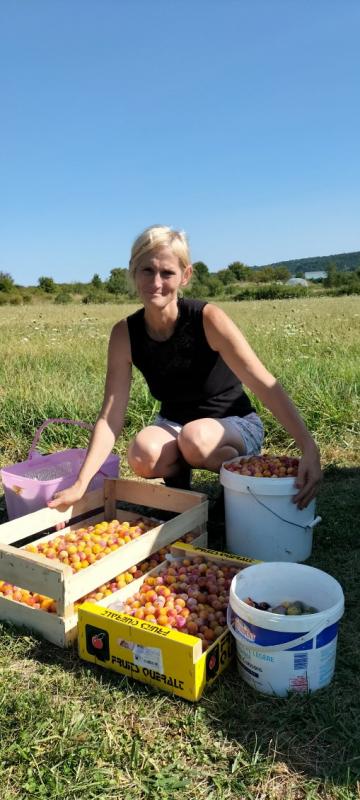 Camille  31 ans Behonne