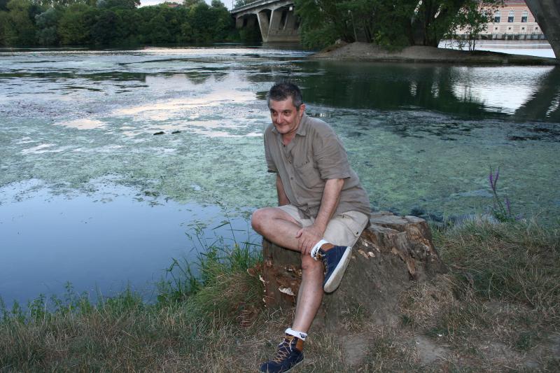 petit poussin 66 ans Toulouse