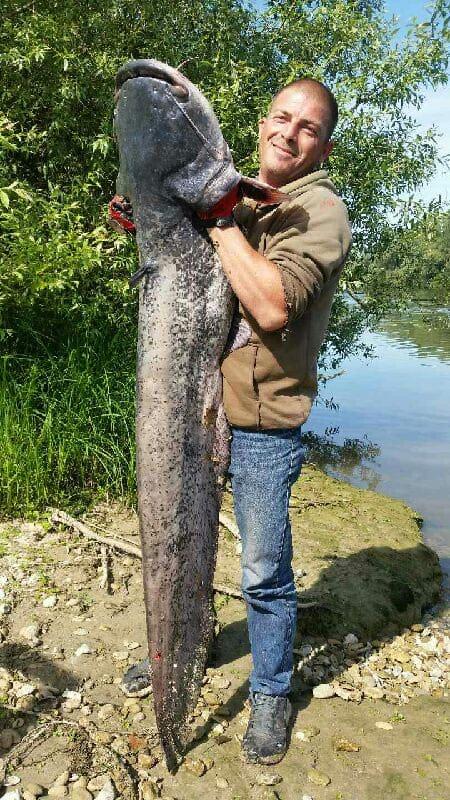Lion 41 ans Fontenay Saint Père