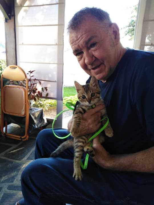 ALAIN 74 ans Séméac