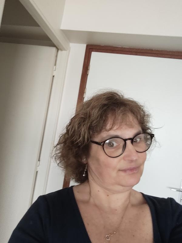 Karine  53 ans Guipavas