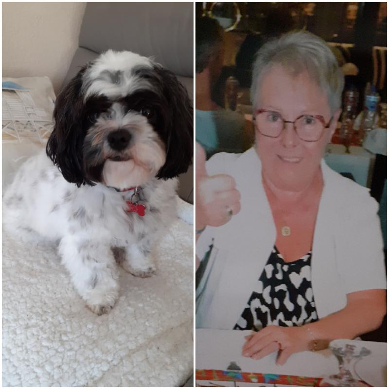 liliane 78 ans Saint Gilles Croix de Vie