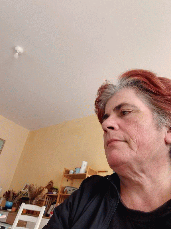 Sylvie  54 ans Tonneins